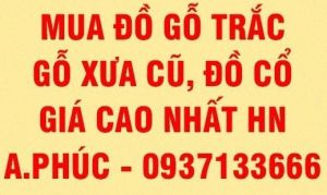 Chuyên mua đồ gỗ Trắc