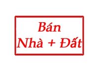 Bán nhà cấp 4 mặt phố Lạc Long Quân gần UBND Quận Tây Hồ