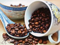 Cà phê Robusta